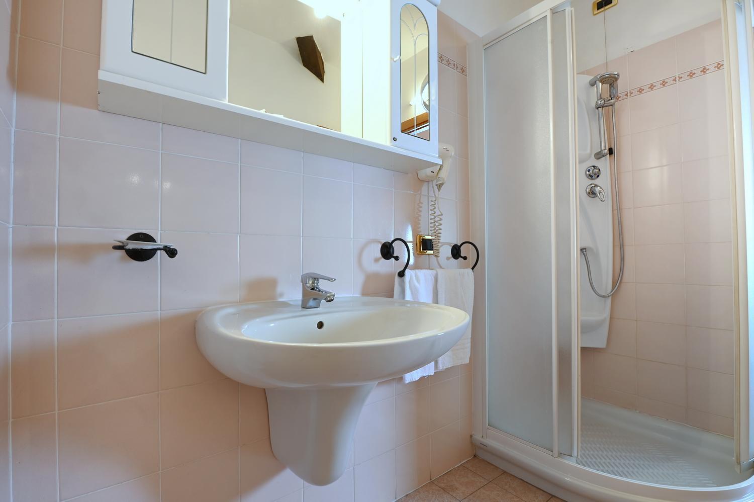 Double or Twin Room Attic